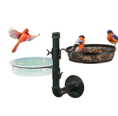 Wall Mounted Bird Feeder